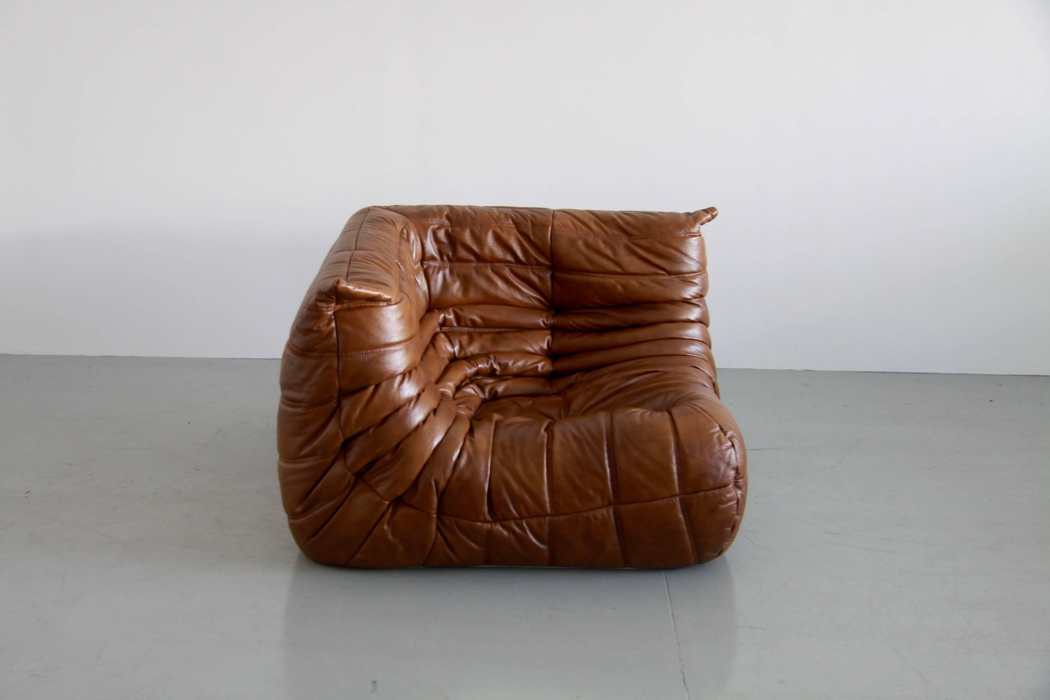 Tobacco Leather Togo Living Room Set by Michel Ducaroy for Ligne Roset 4