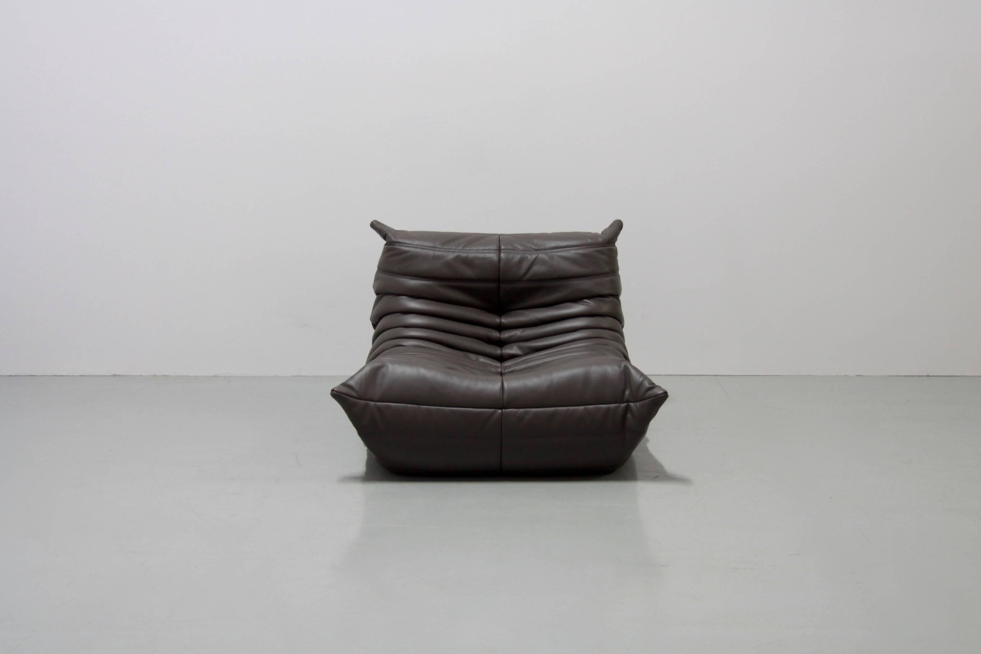 Vintage Graphite Leather Togo Sofa Set by Michel Ducaroy for Ligne Roset, 1970s In Excellent Condition In Berlin, DE