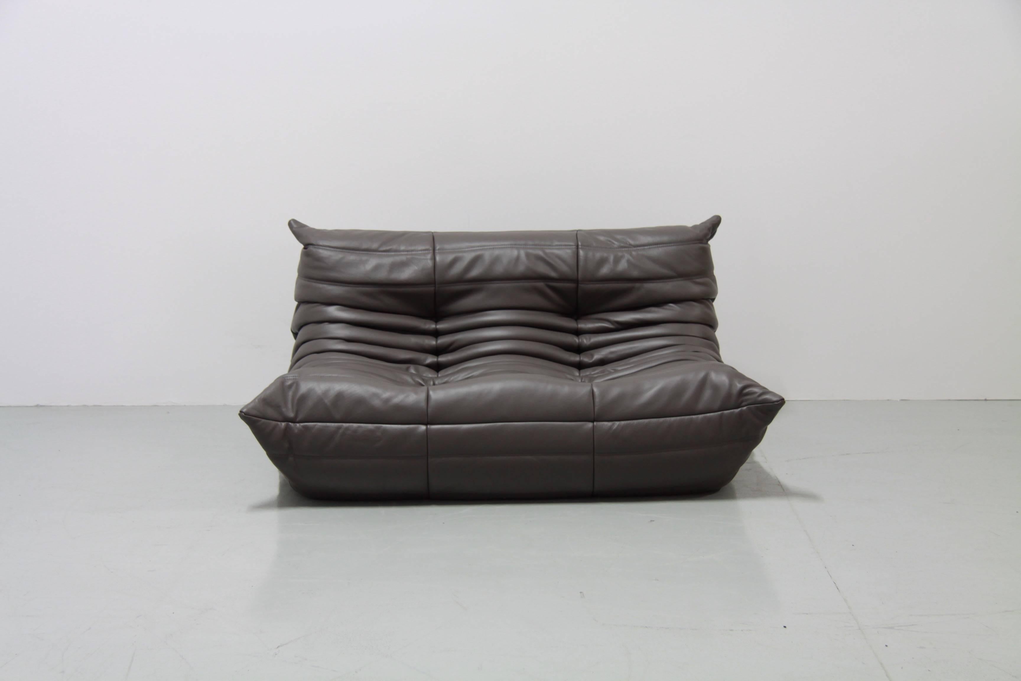 Vintage Graphite Leather Togo Sofa Set by Michel Ducaroy for Ligne Roset, 1970s 1