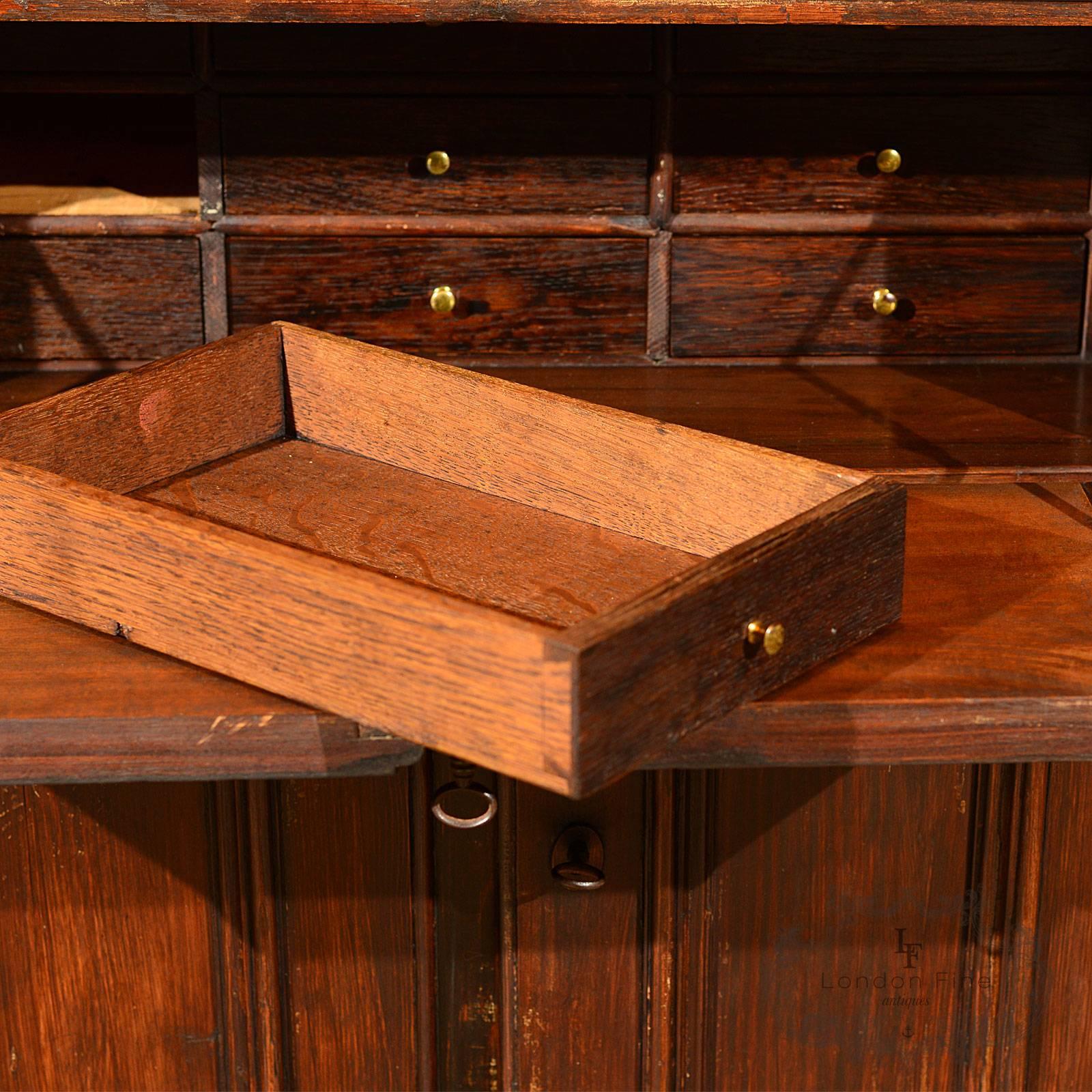 Oak French Antique Specimen Cabinet, circa 1850