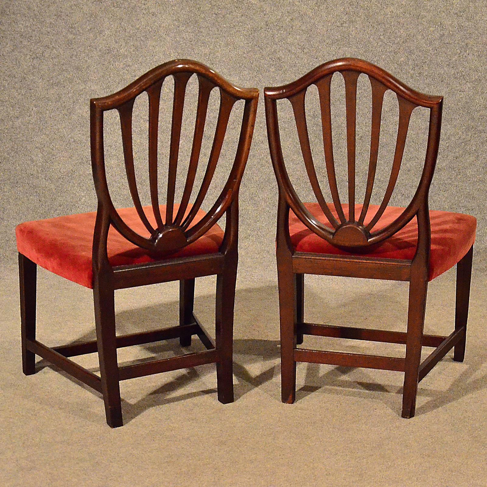 Early 19th Century Pair of Wide Side Dining Shield Chairs English Georgian Hepplewhite, circa 1800
