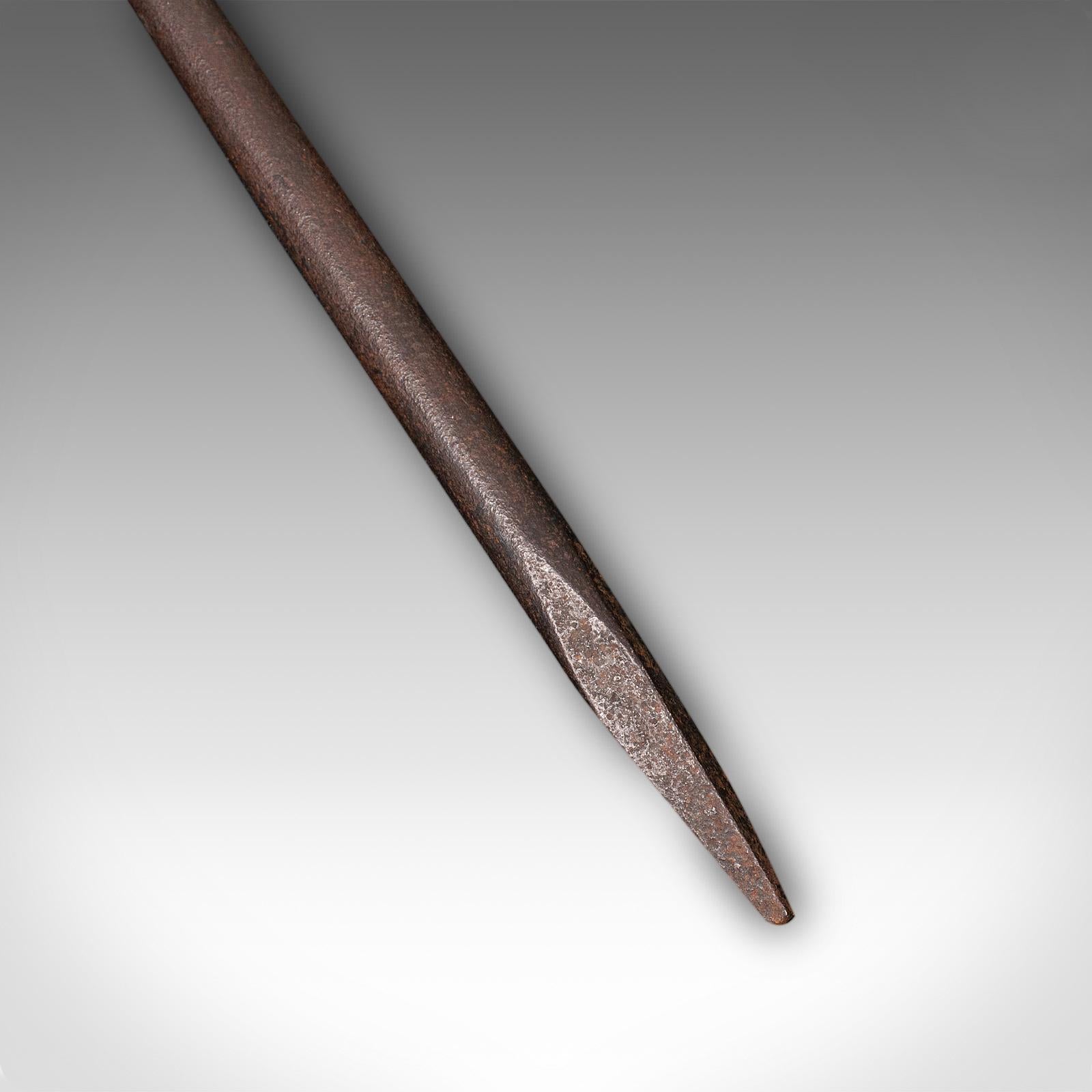 Antico attizzatoio da fuoco a testa di ariete, ferro battuto inglese, Aris, caminetto, Edwardian in vendita 3