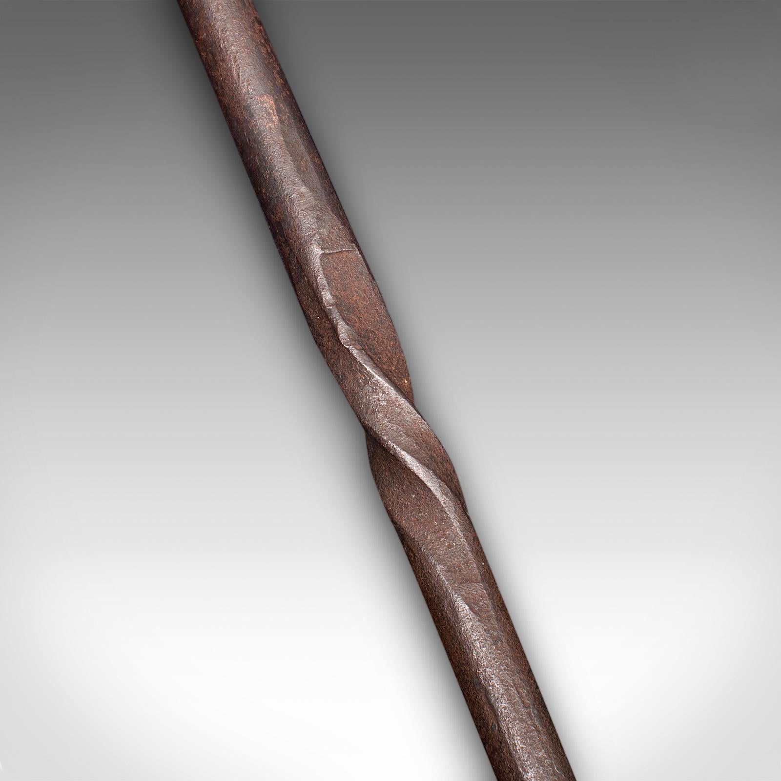 Antico attizzatoio da fuoco a testa di ariete, ferro battuto inglese, Aris, caminetto, Edwardian in vendita 2
