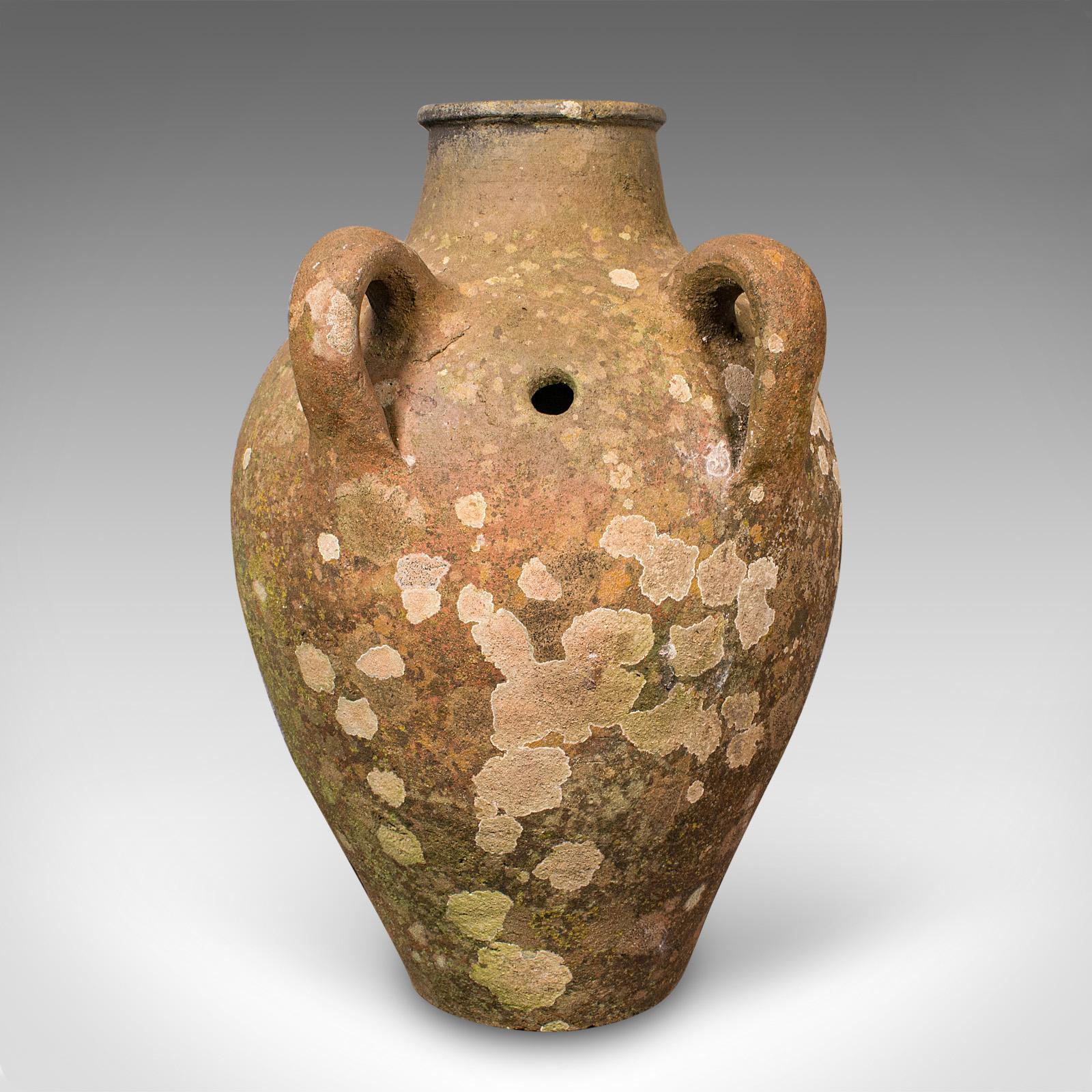 Ancienne jardinière à olives, italienne, en terre cuite, jardinière, victorienne, C.C. 1900 Bon état - En vente à Hele, Devon, GB