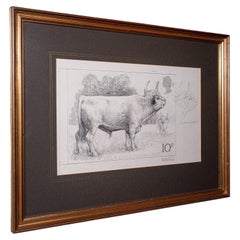 Artist's Proof Sketch, English, Framed Drawing, Barry Driscoll, Chillingham Bull