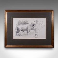Artist's Proof Sketch, English, Framed Drawing, Barry Driscoll, Chillingham Bull