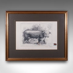 Vintage Hereford Bull Sketch, English, Framed Art, Stamp Proof, Barry Driscoll
