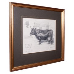 Vintage Irish Dexter Cow Proof, English, Framed Artist's Sketch, Barry Driscoll