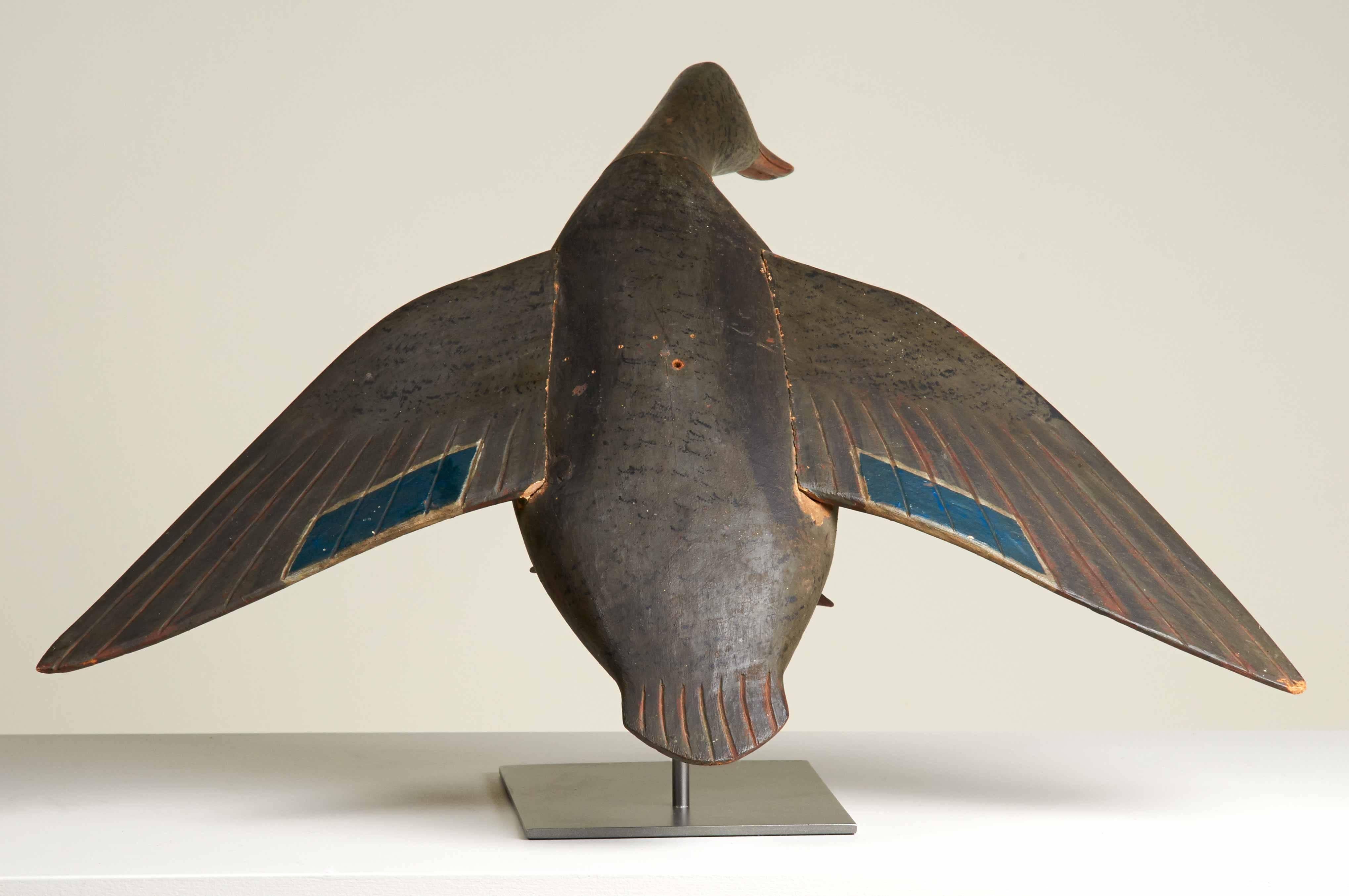 A carved and painted flying mallard decoy attributed to carver Augustus Aaron 'Gus' Wilson (1864-1950) of South Portland, Maine. This decoy was made to be hung as a decorative carving. 

Gus Wilson carved many of his decoys while working as the