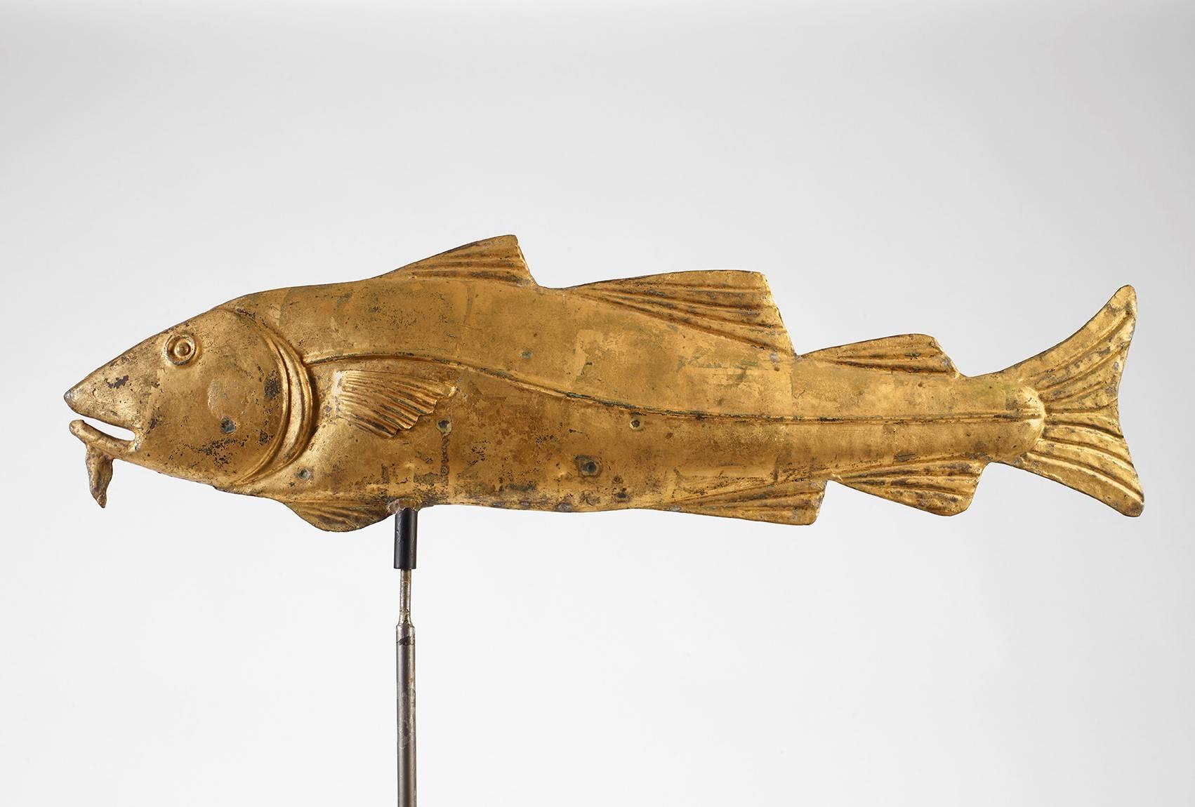 Cod fish weathervane
Maker Unknown
New England, circa 1880
Molded copper with a weathered gilt finish
Measures: L 32 in.
Excellent condition – rod replaced.
 