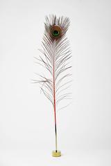 Peacock Pussy Pleaser Desk Accessory in Orange by Christopher Kreiling