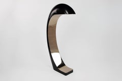 Nautilus Floor Lamp in Bronze by Christopher Kreiling