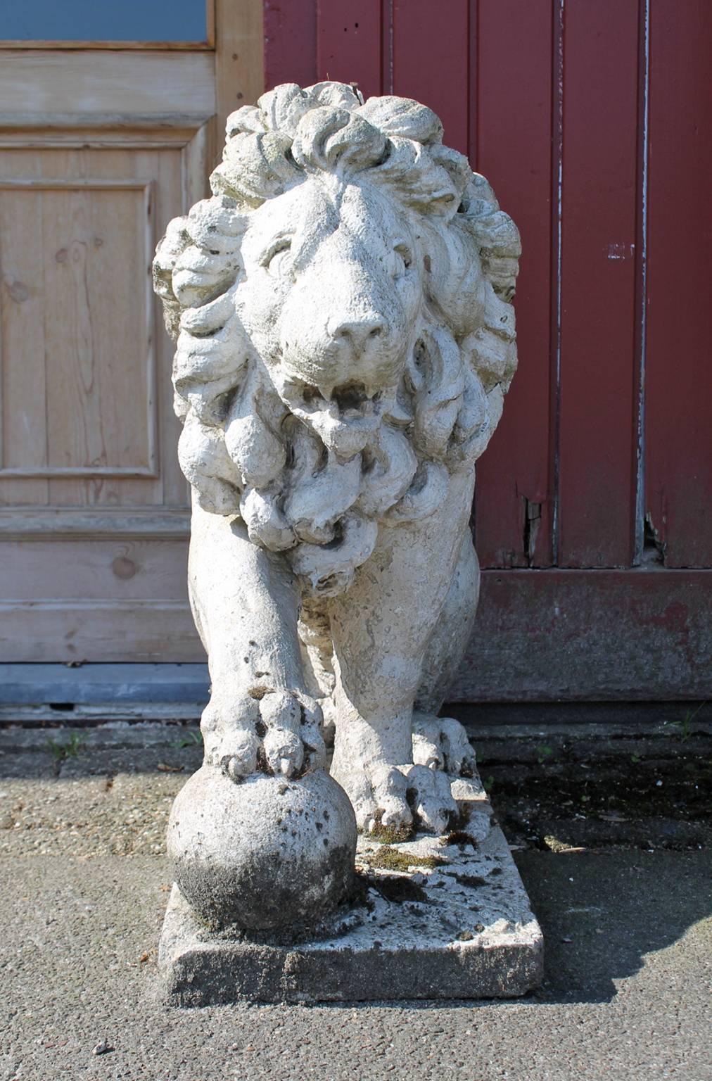 Nice statue of lions in limestone originally from France.