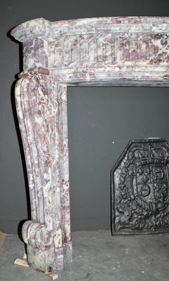19th Century Antique Marble Fireplace Mantel