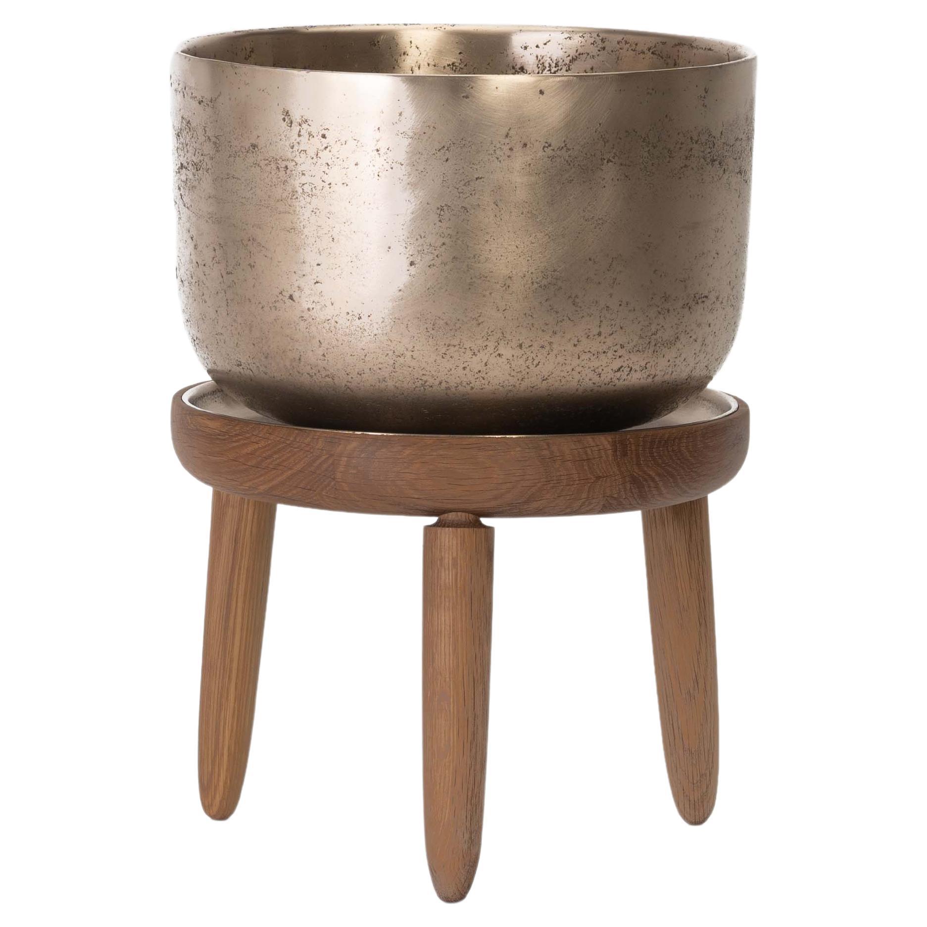Baré Planter, White Oak with Cast Bronze Planter and Tray For Sale