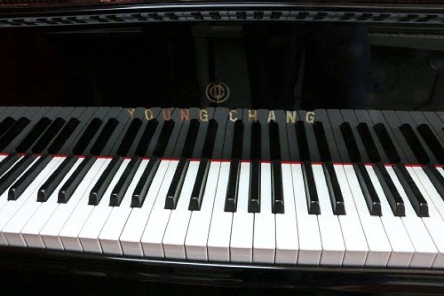 Pramberger-Young Chang Player Piano 2001 with Pianomation Cd Player System In Excellent Condition In Port Jefferson, NY