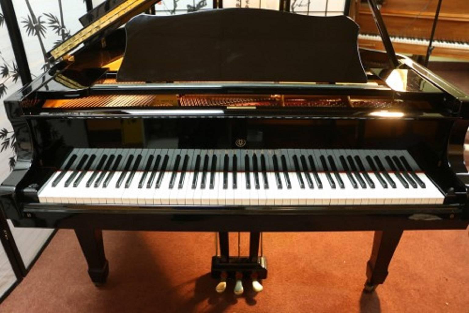 See Sonny's Video Tour of this Piano upon Request 

Hear and see Sonny play this incredible sounding Steinway chinoiserie masterpiece on the video at the bottom of Sonny's Luxury Art Case Piano's storefront homepage. 

Elegant Young Chang Baby