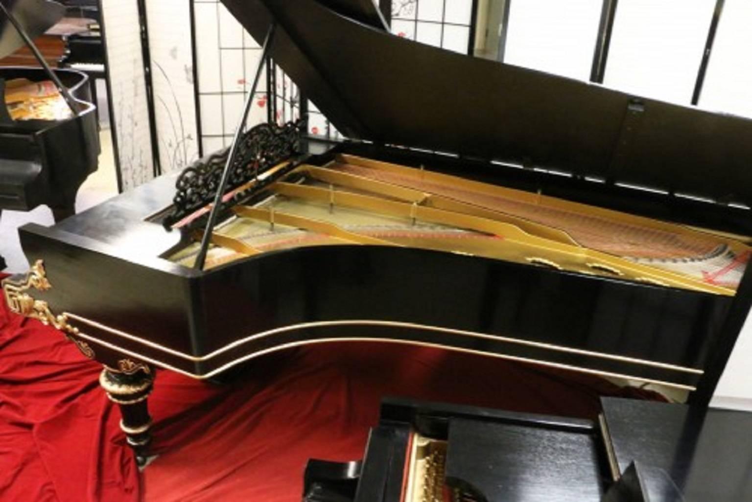 19th Century Art Case Steinway Victorian Style Model D Grand Piano
