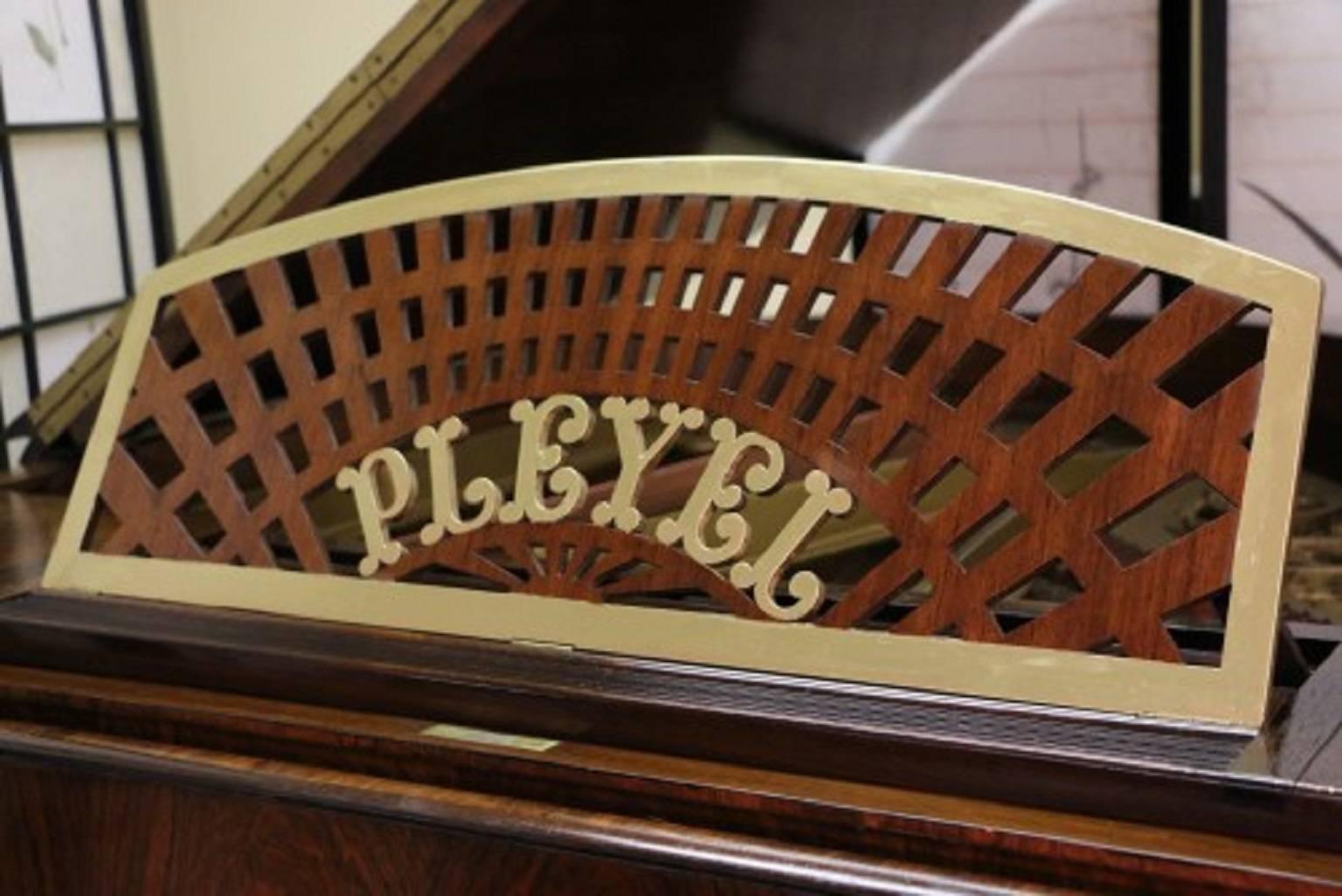 Art Case Pleyel Grand Piano Hand Painted Rosewood  In Good Condition In Port Jefferson, NY