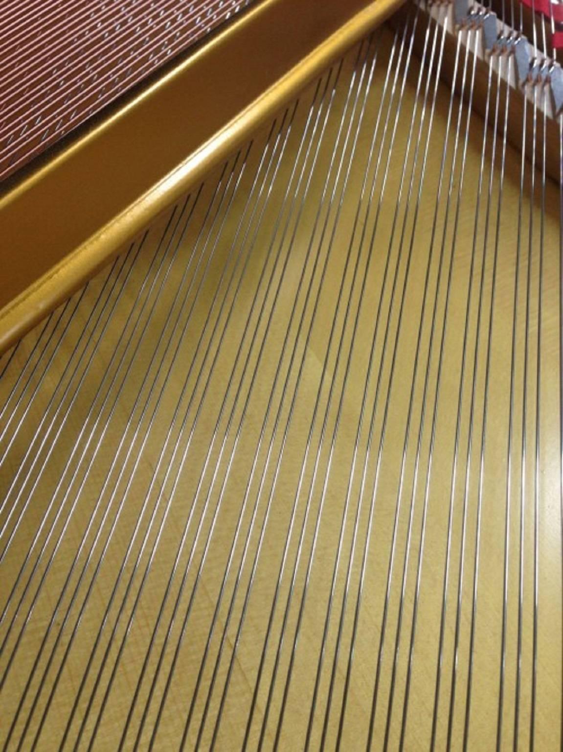Steinway Model M  Satin Ebony Grand Piano 1