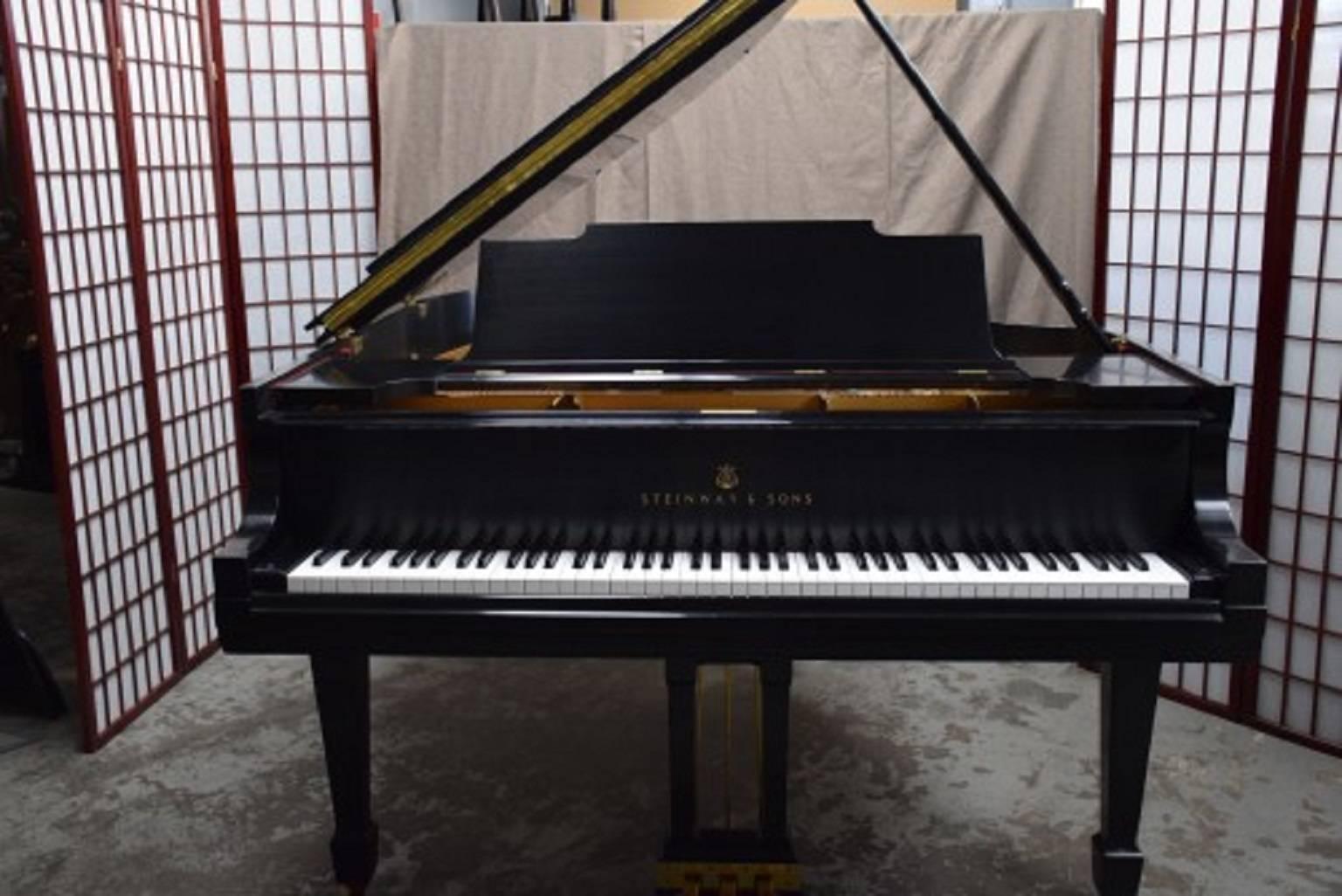 Steinway Model M  Satin Ebony Grand Piano 4