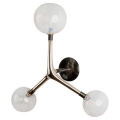 OCELLUS - Applique organiche moderne di Isabel Moncada in bronzo lucido e vetro