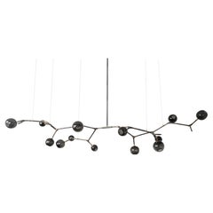Mantis 13 Pendant Light by Isabel Moncada, Vintage Bronze & Glass