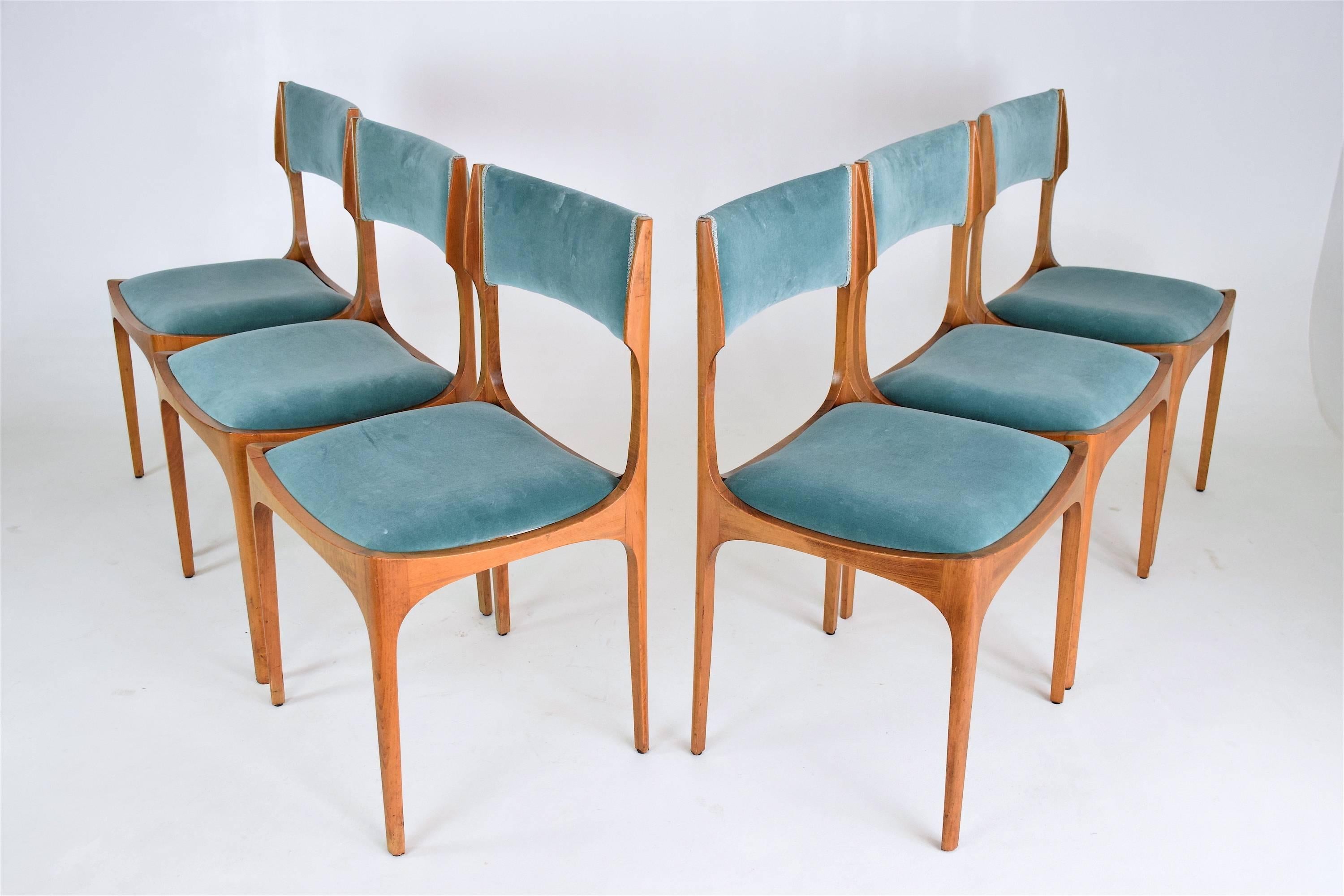 Varnished Mid-Century Giuseppe Gibelli Dining Chairs, Set of Six