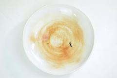 Centrotavola in ceramica del XX secolo Georges Jouve, Francia, anni '50