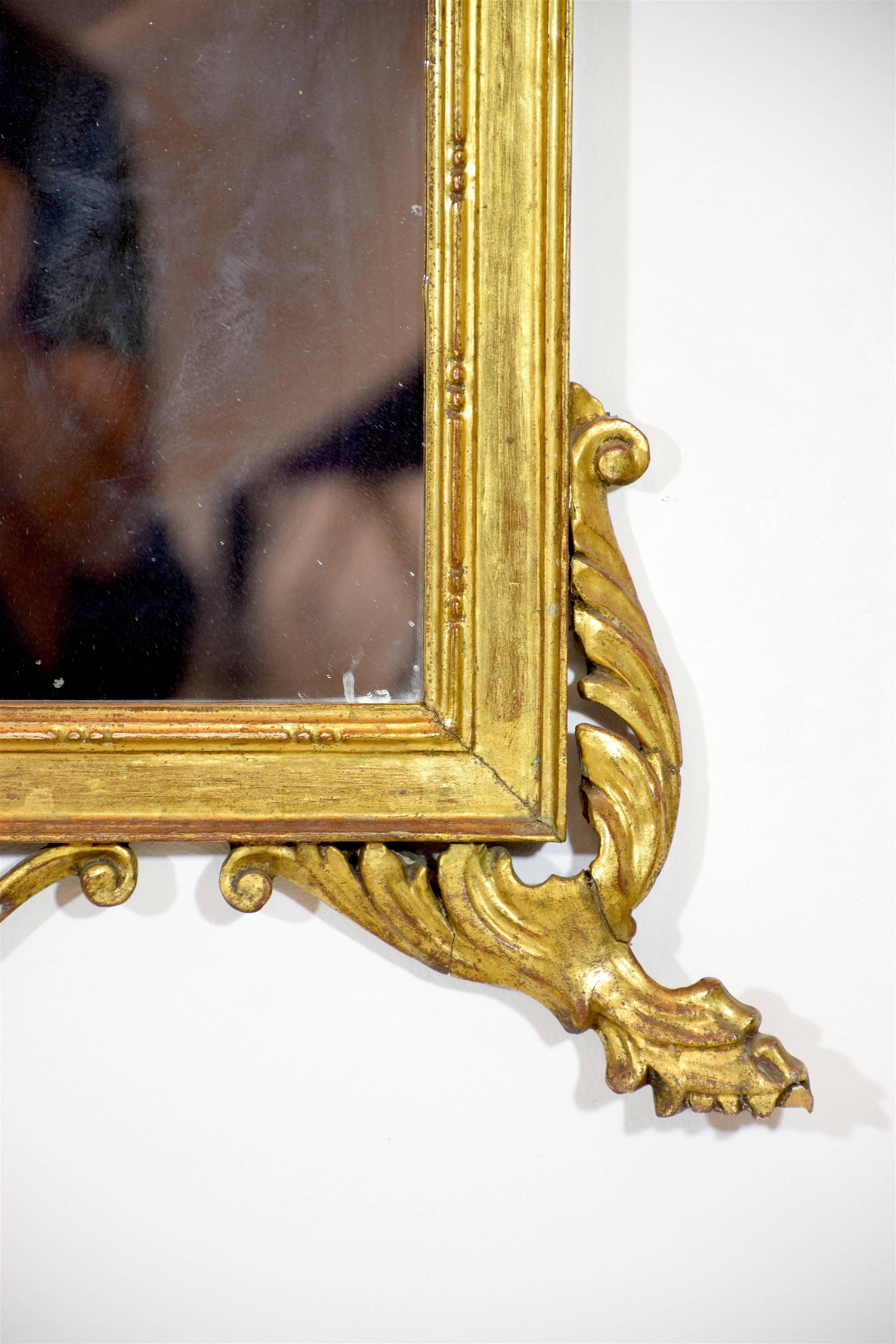 Antique 19th Century Italian Rococo Giltwood Wall Mirror 6