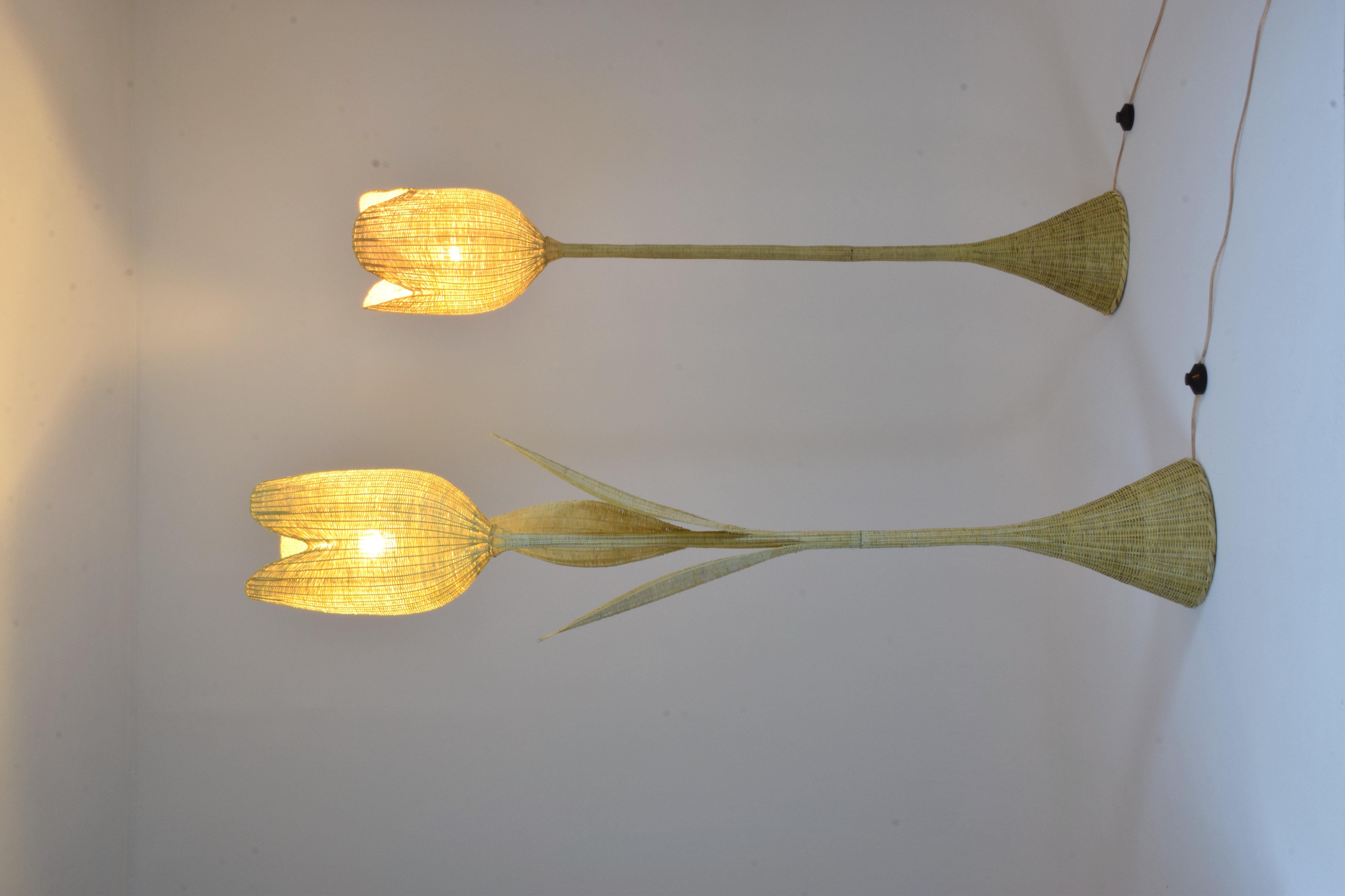 Un lampadaire exceptionnel fait à la main et entièrement tressé en osier d'origine naturelle. Cette forme rare d'artisanat prend un mois à fabriquer et nécessite d'innombrables heures de travail méticuleux. Les vignes en osier sont épluchées à la