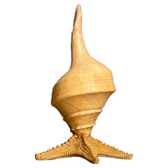 Vintage French Table Lamp with Trumpet Shell and Starfish, 1950s