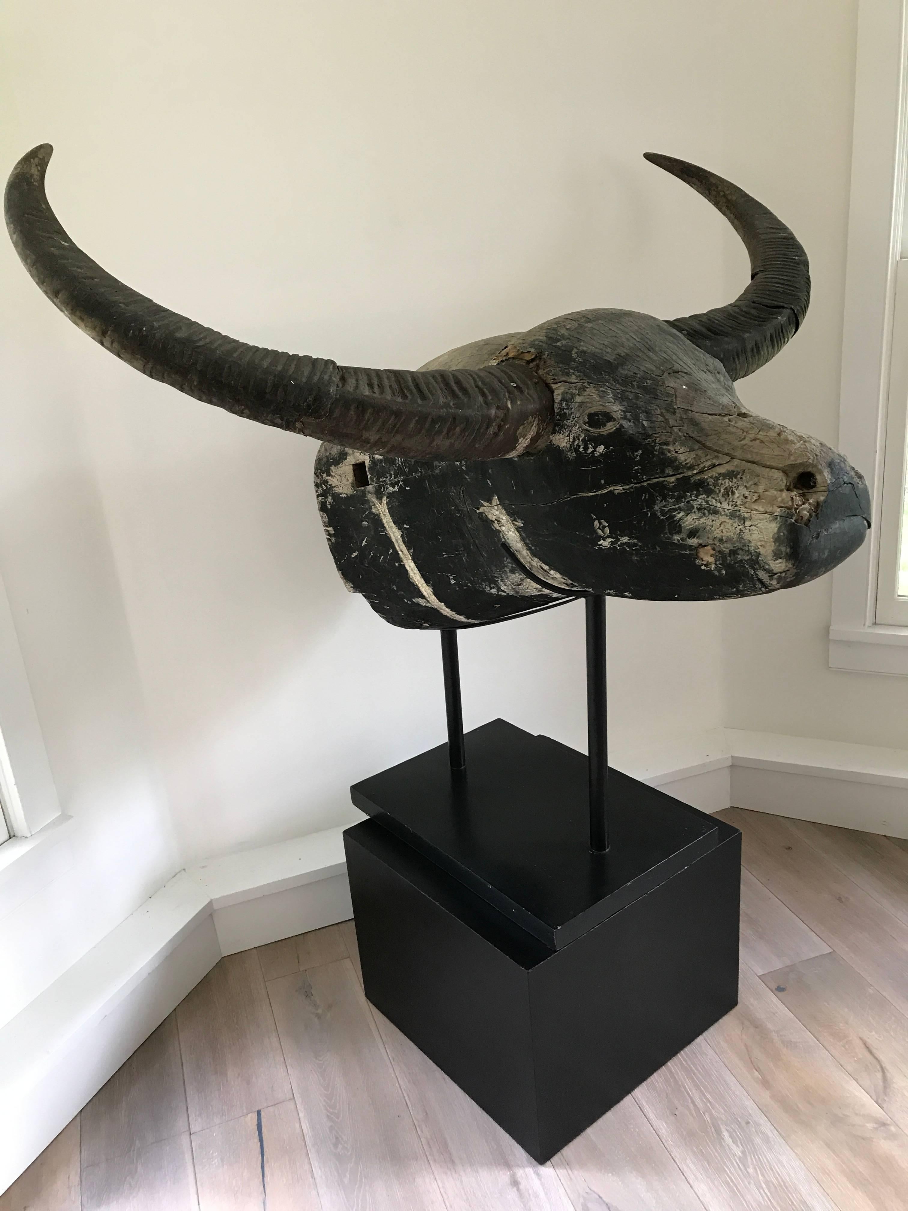 Massive and rare early 19th century Indonesian ship bowsprit. Originally a decoration on the front of a ship. Carved wood bull with natural horns. Museum mounted base. Square pedestal for display purposes only.