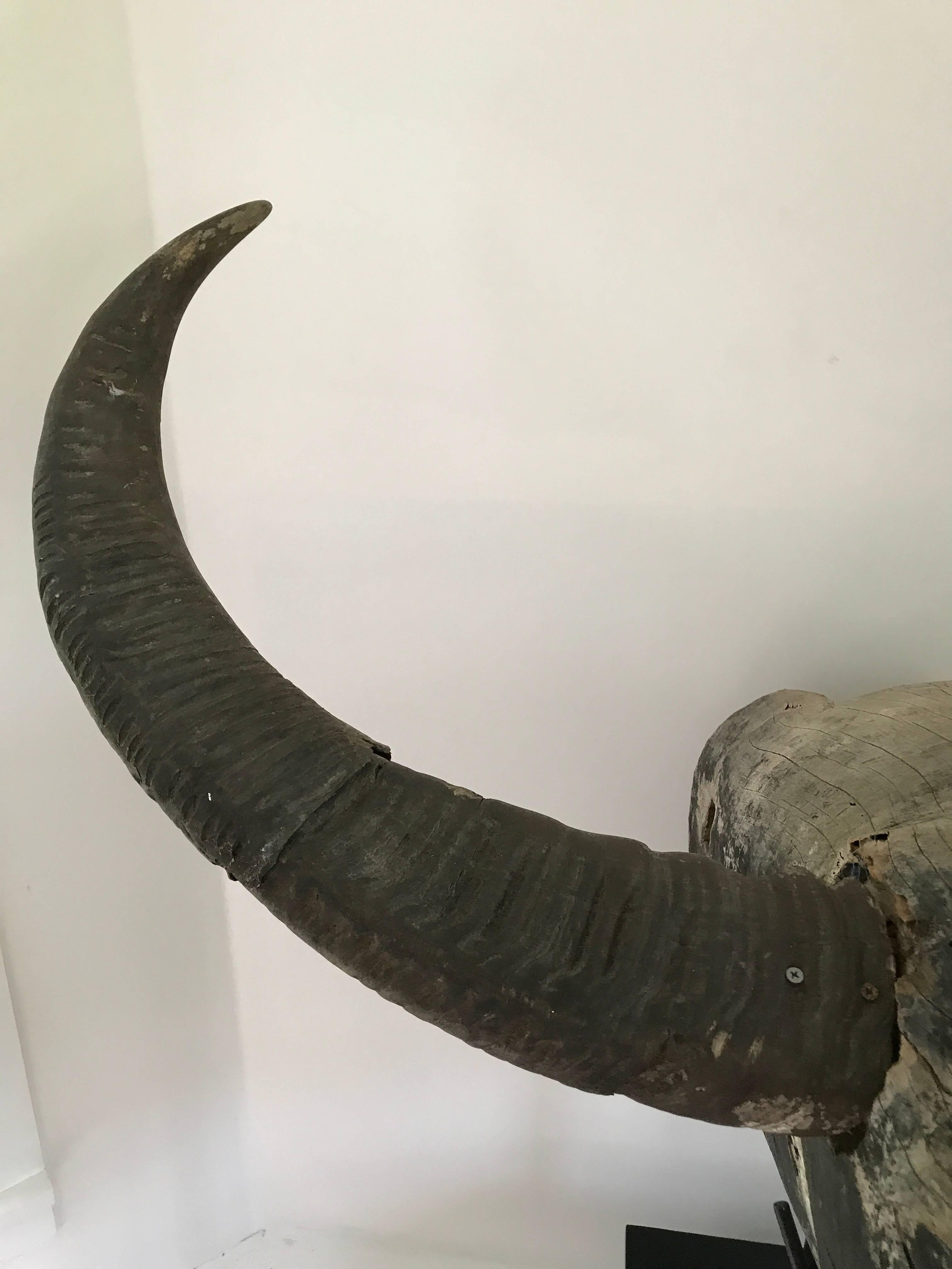 Horn Large 19th Century Indonesian Sculpture of a Bull For Sale