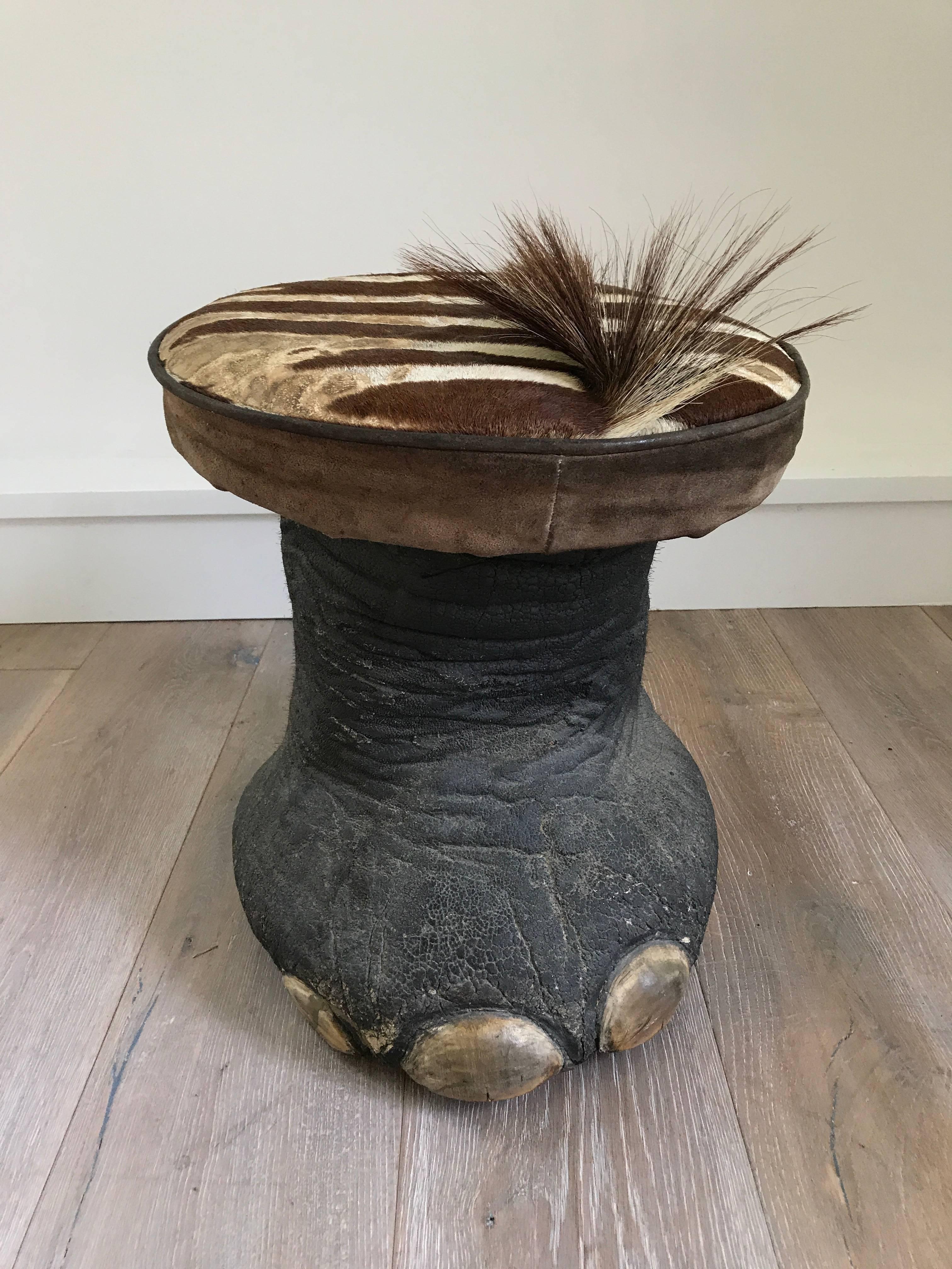 A vintage taxidermy elephant foot stool with zebra hide upholstery.