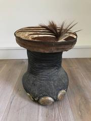Vintage Taxidermy Elephant Stool