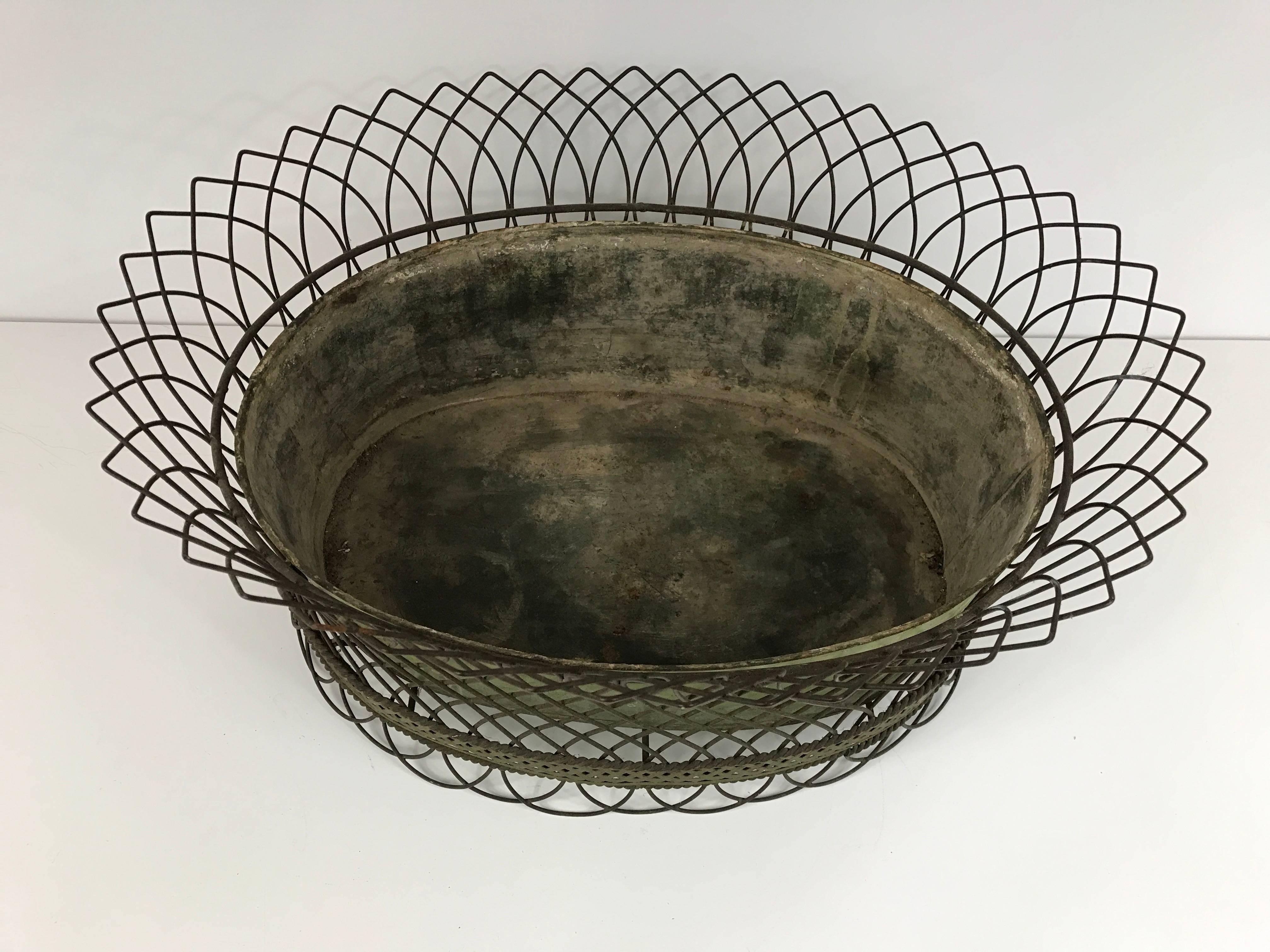 19th Century Antique French Tole and Wirework Planter