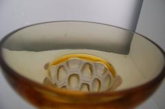 Amber Yellow Glass Vase 'Beautreillis' Designed by René Lalique