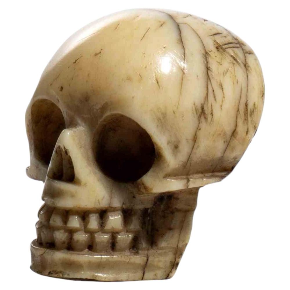 Vanitas “Memento Mori” in avorio marino, anni ’50 dell’Ottocento