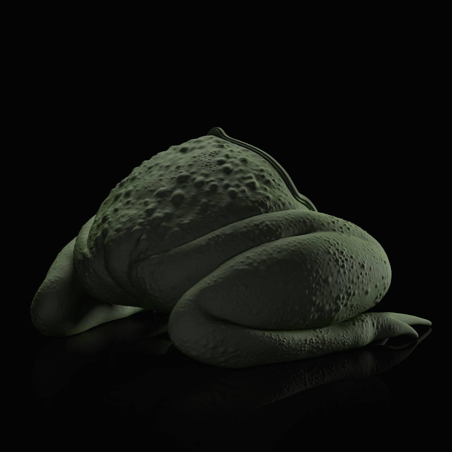 Contemporary The Toad Sofa by Maximo Riera, Made to order, 21st Century For Sale
