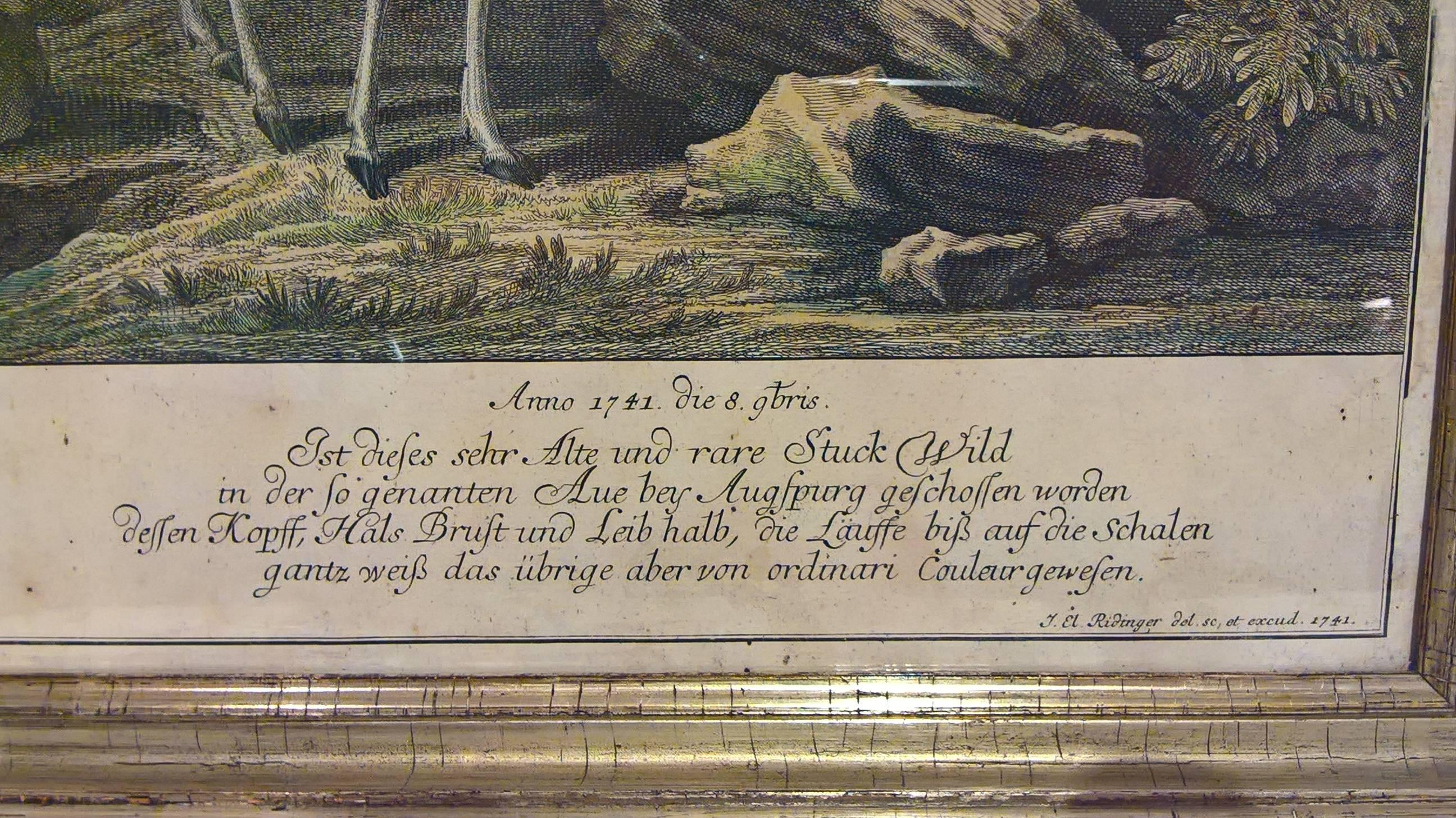 German 18th Century Black Forest Copperplate Johann Elias Ridinger With Hunting Scene