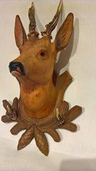 19th Century Black Forest  Small Deer Head Throphy With Carved Wood Plaque
