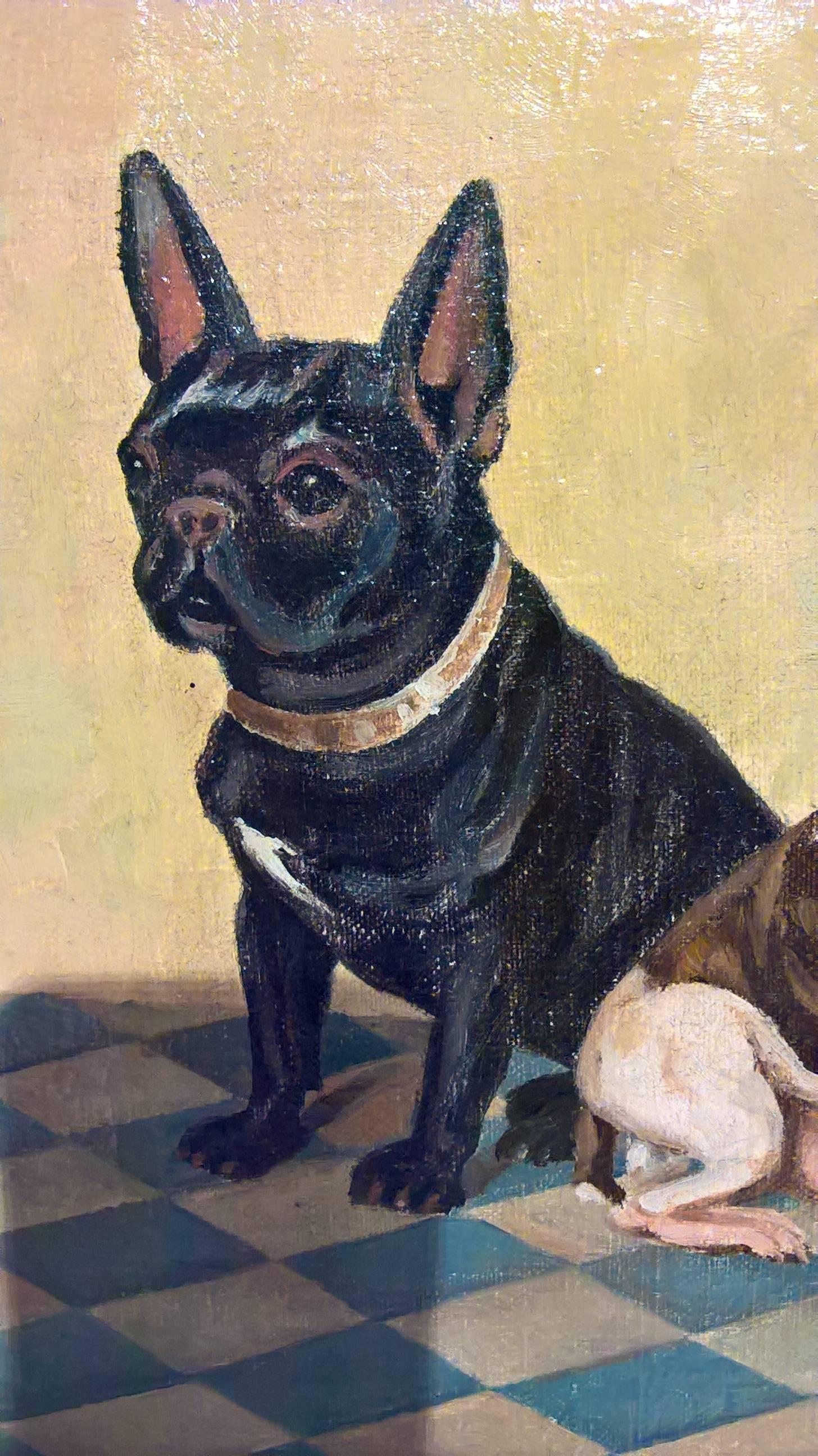 old french bulldogs