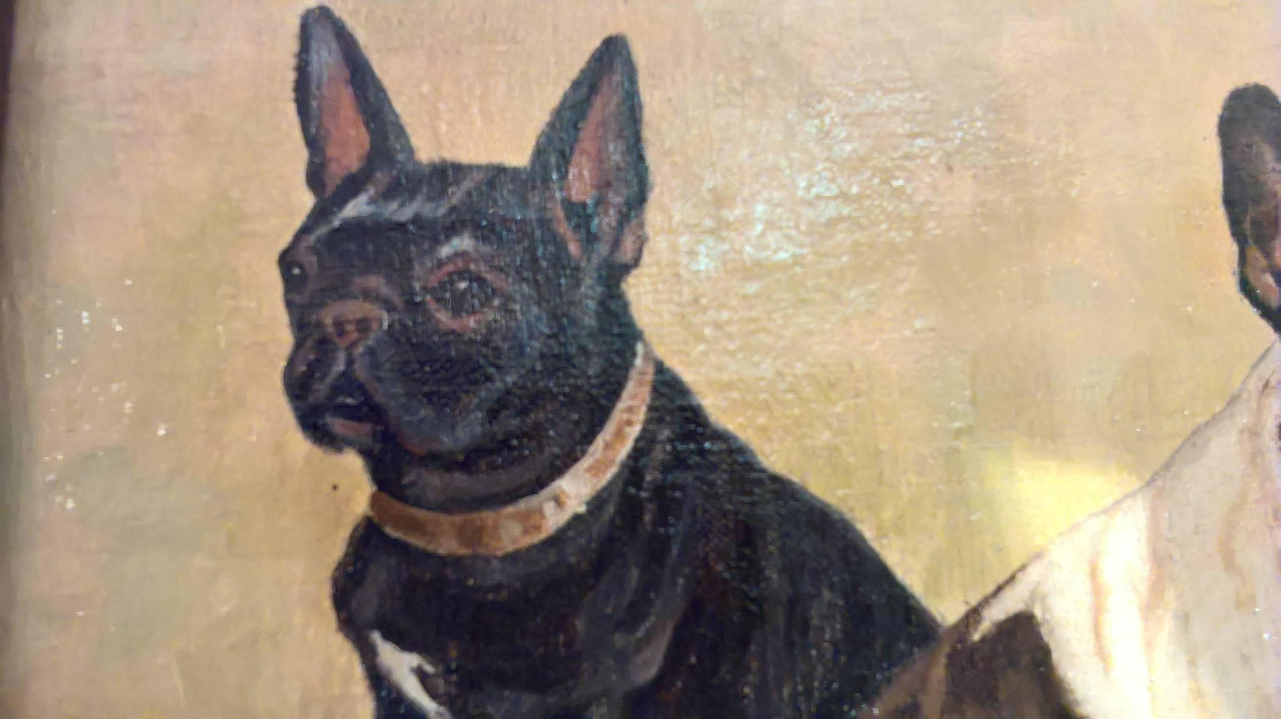 Mid Century Painting French Bulldogs Portrait Oil On Canvas In Excellent Condition In Kitzbuhel, AT