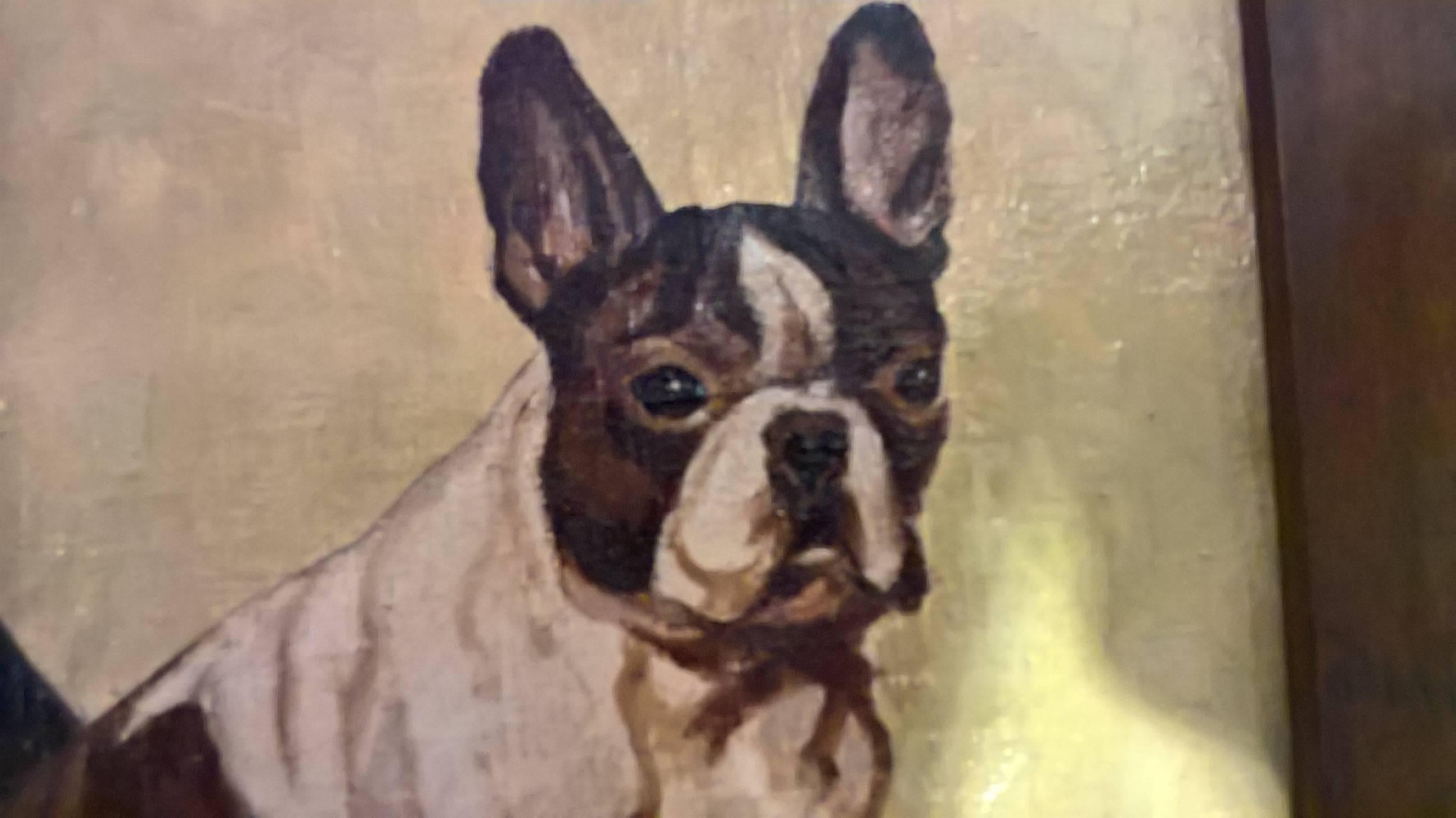 20th Century Mid Century Painting French Bulldogs Portrait Oil On Canvas