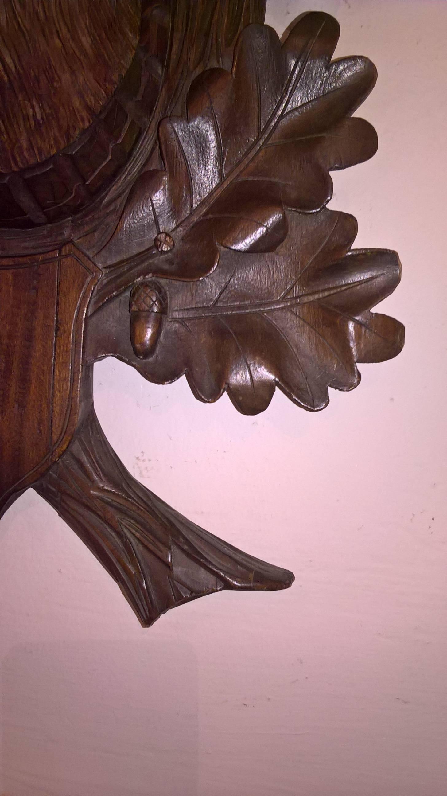 tête de cerf Hughe du 19ème siècle sculptée à la main en bois de chêne avec de vraies cornes de cerf. Les yeux  avec de vrais cils. Monté sur une grande plaque en bois sculpté avec des feuilles et des glands dans le style de la forêt noire. Fabriqué