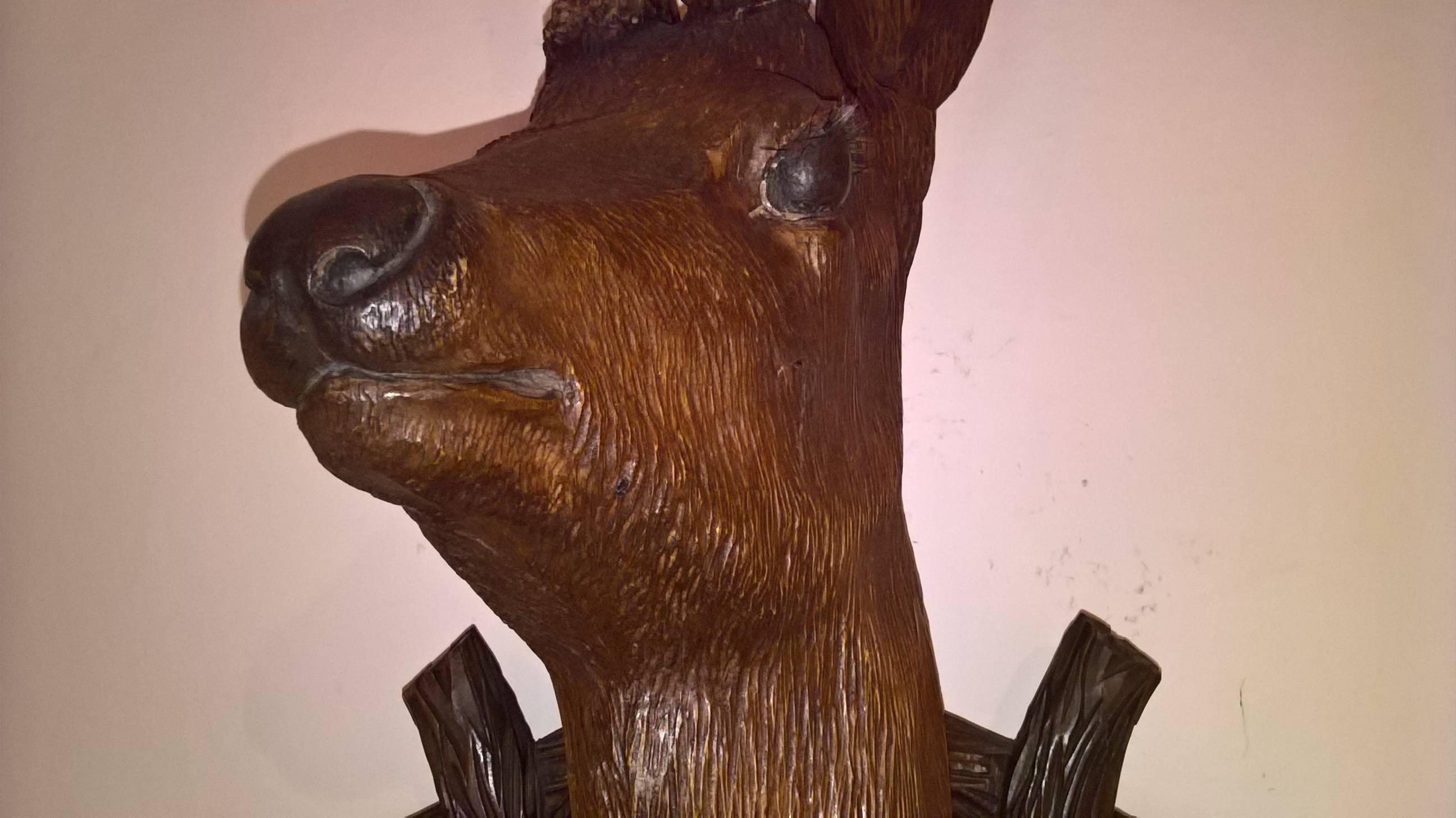 trofei di caccia in vendita