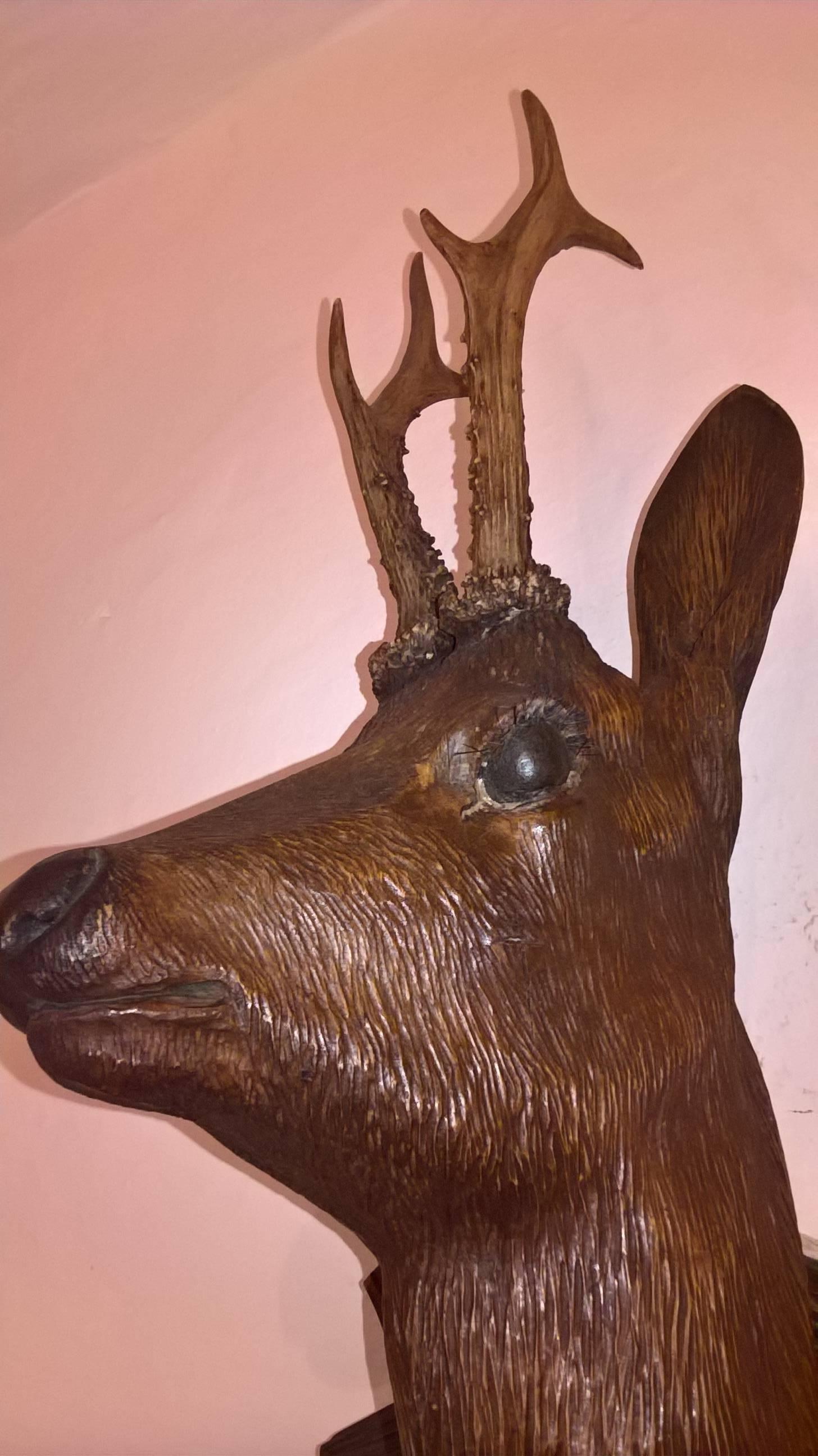 Sculpté à la main Trophée de chasse de la Forêt Noire autrichienne du 19ème siècle avec tête de cerf  en vente