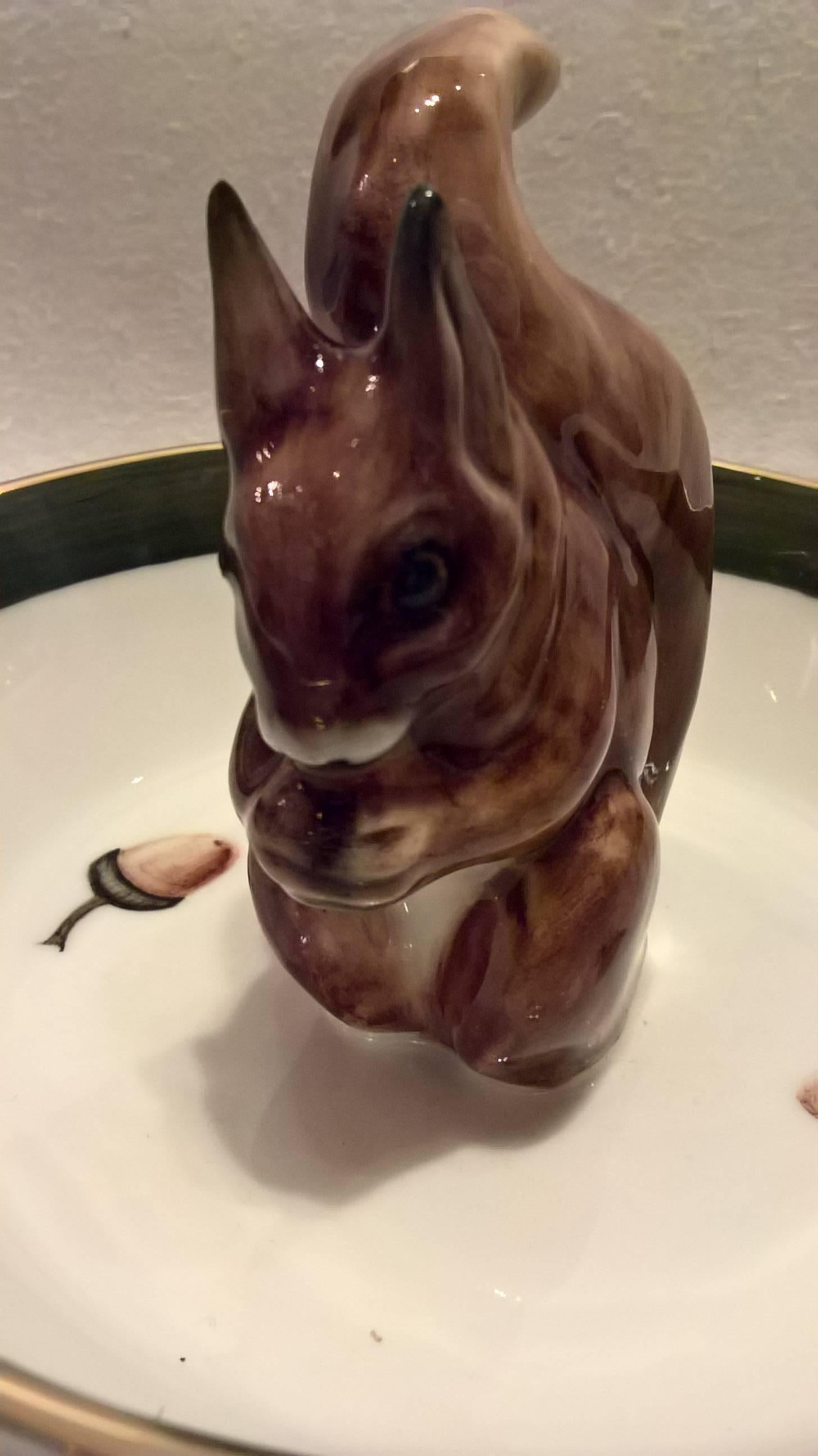 squirrel bowl