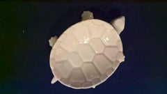 Midcentury-Modern Set of Six KPM Turtle Dishes in White Porcelain